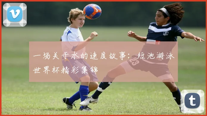 一场关于水的速度故事:短池游泳世界杯精彩集锦