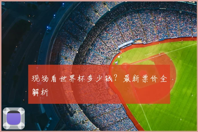 现场看世界杯多少钱?最新票价全解析