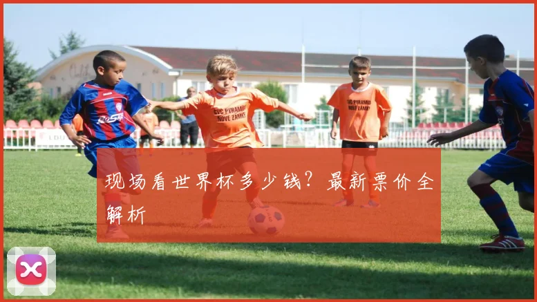 现场看世界杯多少钱?最新票价全解析