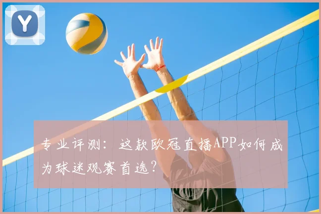 专业评测：这款欧冠直播APP如何成为球迷观赛首选？