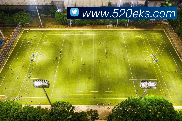 多媒体互动体验